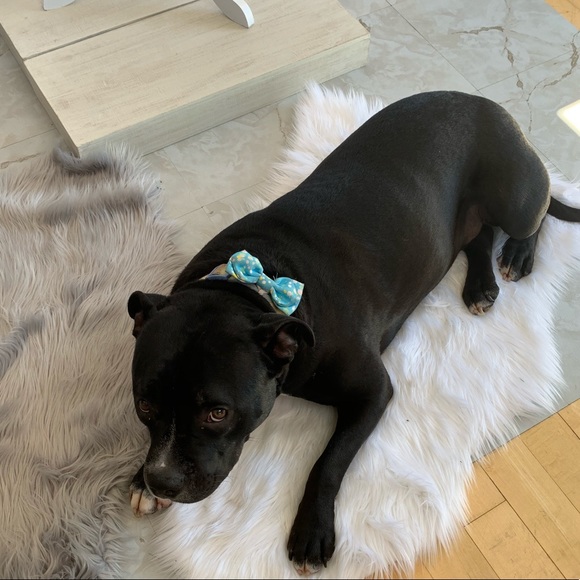 Welcome To LexIsMore Boutique and Alexa’s Closet! - Picture 5 of 8